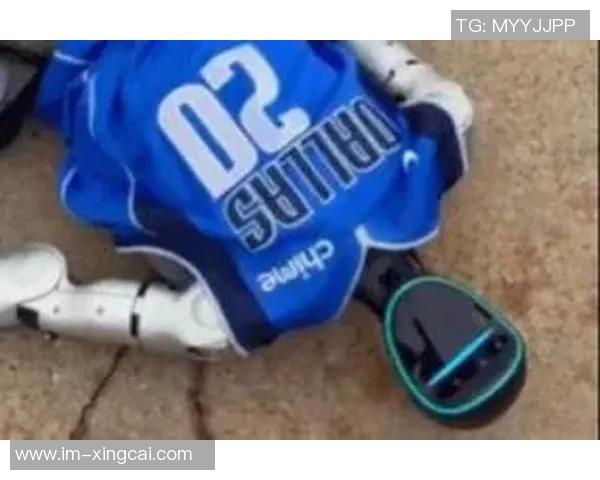 独行侠机器人功夫表演意外失灵欧文一推竟然趴下了