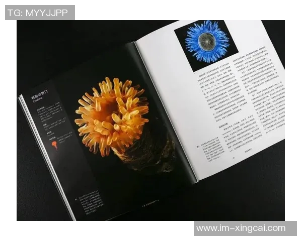 维金斯期待亲历多样物种之地探索宇宙奥秘与生命的奇迹 维金斯期待亲历多样物种之地探索宇宙奥秘与生命的奇迹